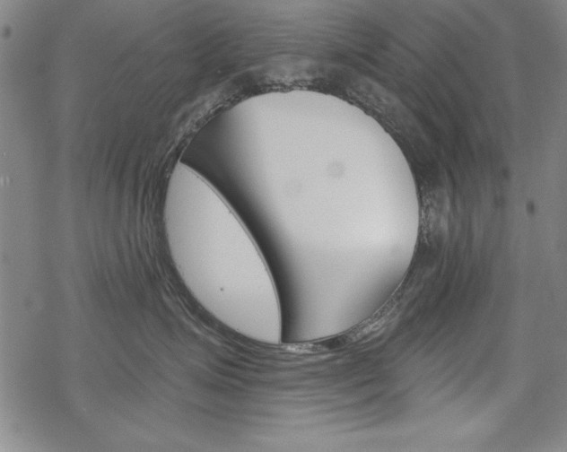 X0000068830623200605050920