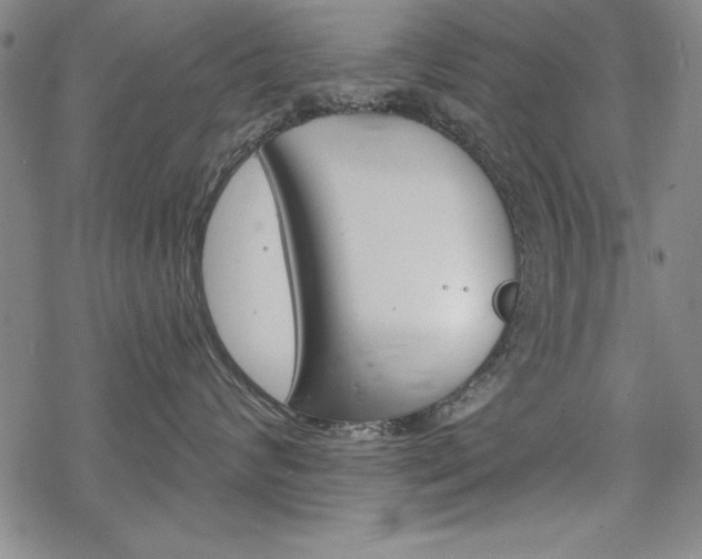 X0000068830624200605050920