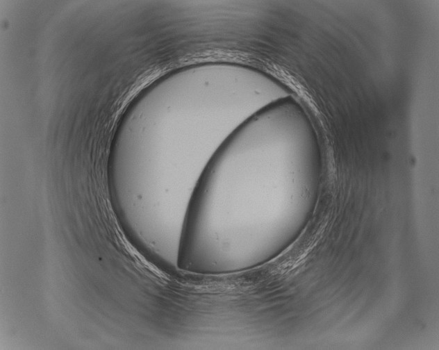 X0000068830625200605050919