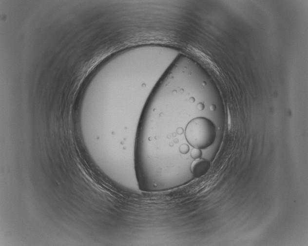 X0000068830627200605050919