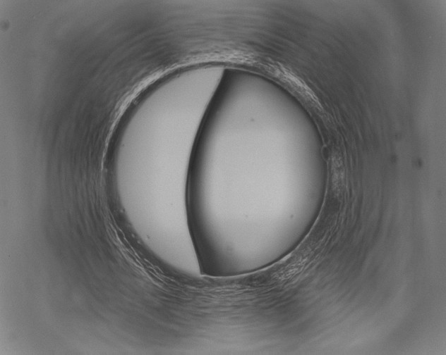 X0000068830628200605050919