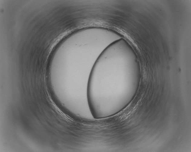 X0000068830629200605050919