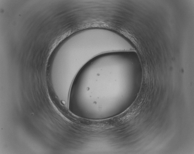 X0000068830630200605050919