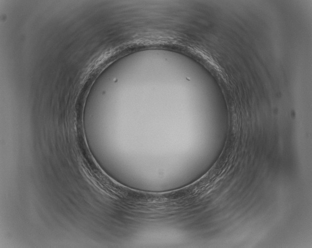 X0000068830631200605050919