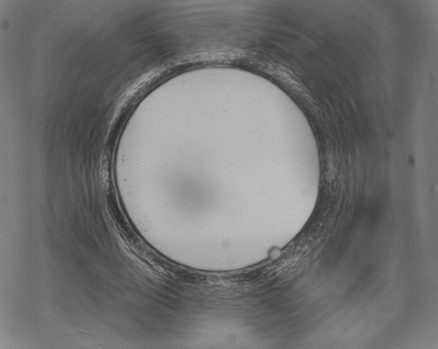 X0000068830632200605050919