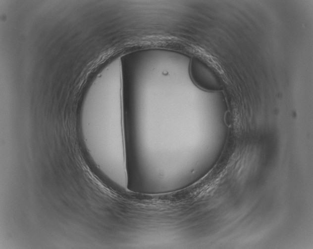 X0000068830633200605050919