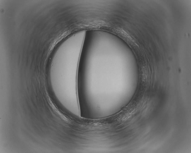 X0000068830634200605050919