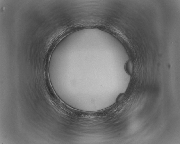 X0000068830635200605050919