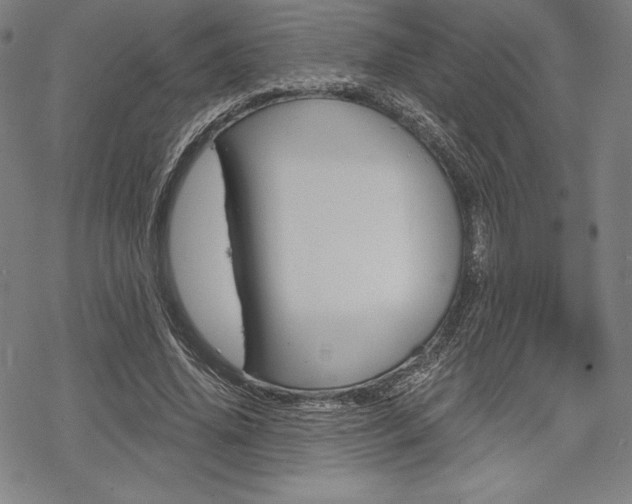 X0000068830636200605050919