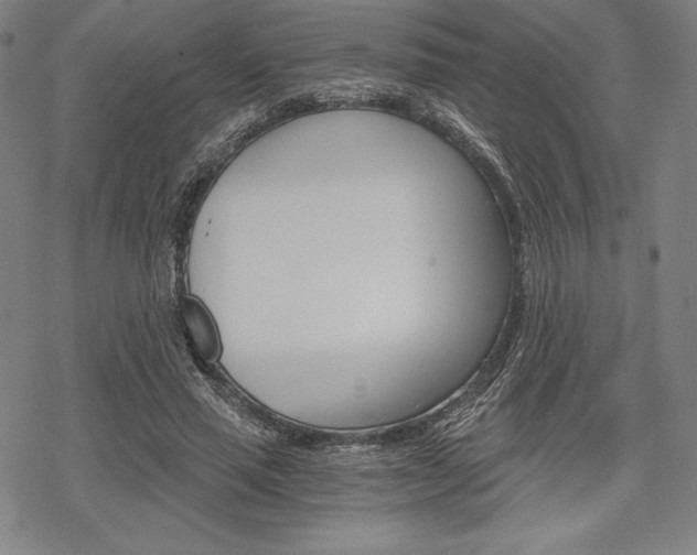 X0000068830637200605050919