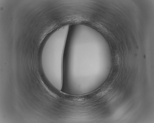 X0000068830638200605050919