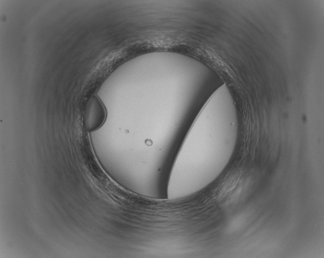 X0000068830639200605050919