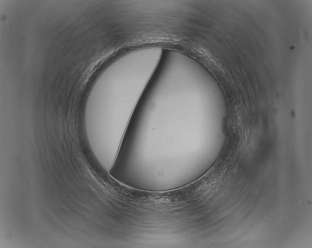 X0000068830640200605050919