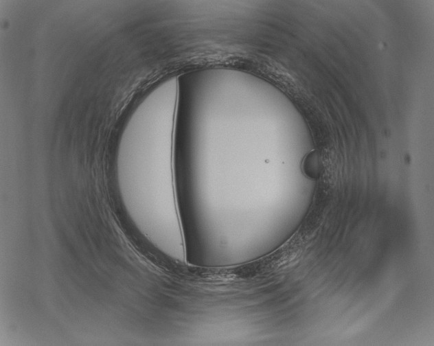 X0000068830642200605050919