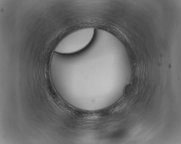 X0000068830643200605050919