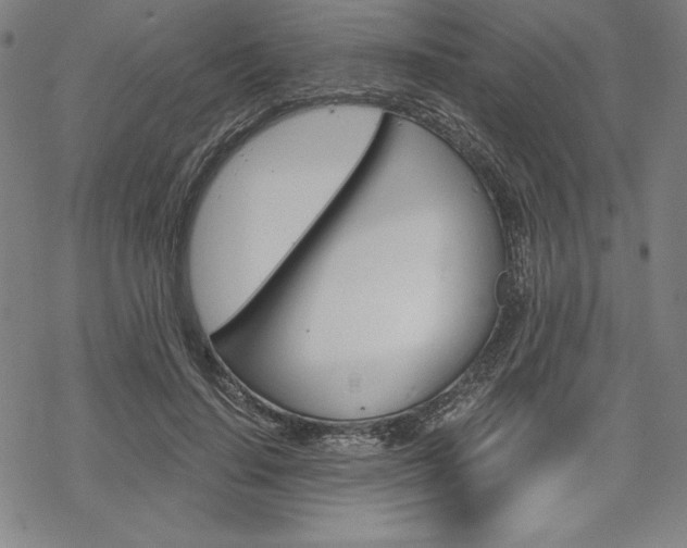 X0000068830644200605050919