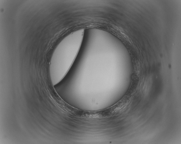 X0000068830645200605050919