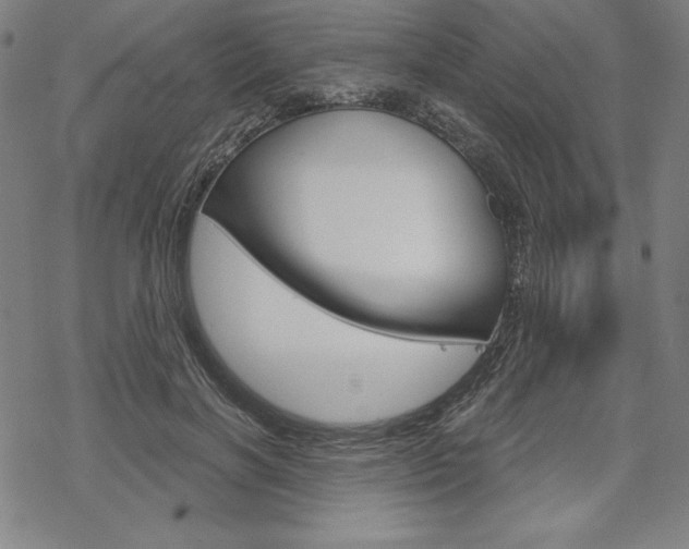 X0000068830646200605050919