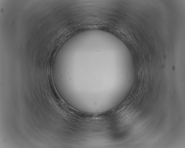 X0000068830647200605050919