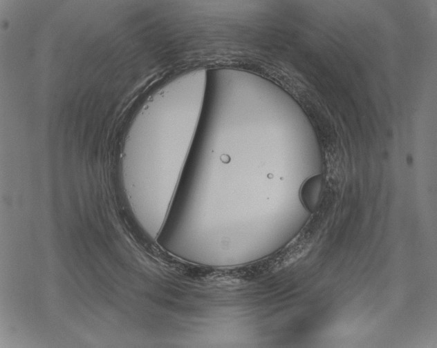 X0000068830648200605050919