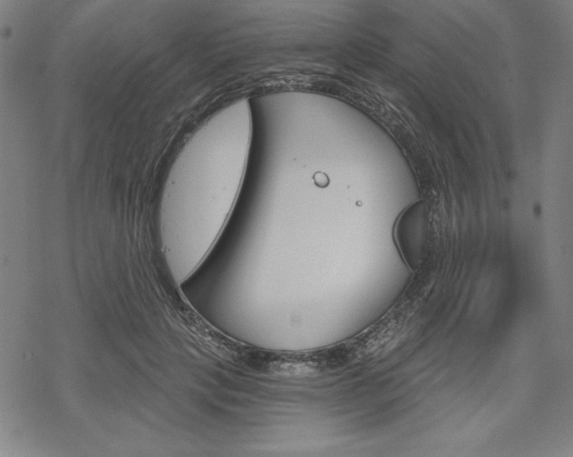 X0000068830649200605050919