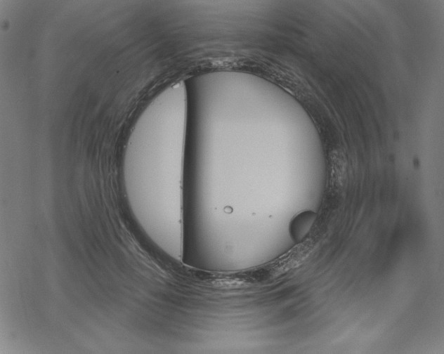 X0000068830650200605050919