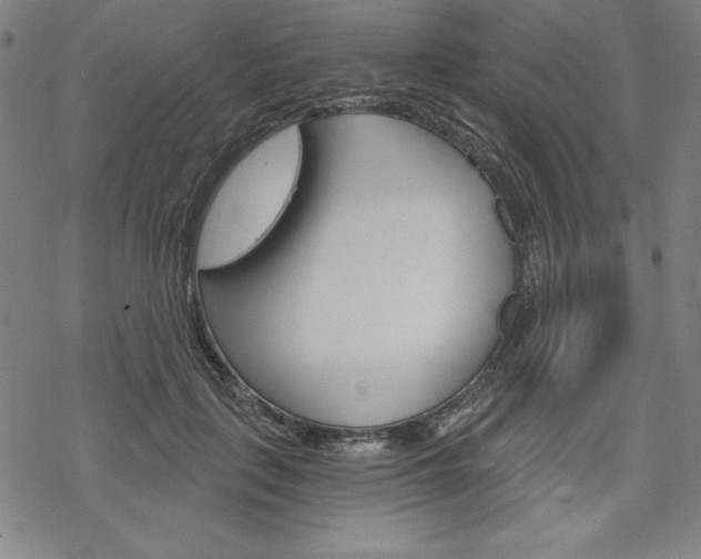 X0000068830651200605050919