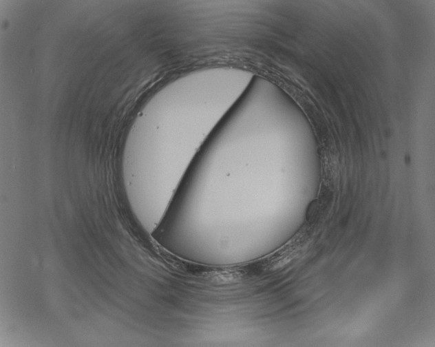 X0000068830652200605050919