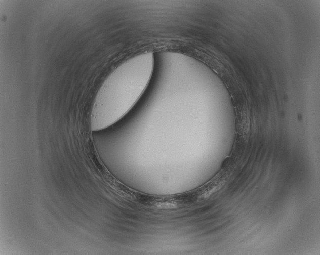 X0000068830653200605050919