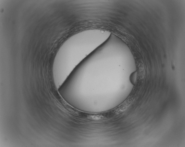 X0000068830654200605050919