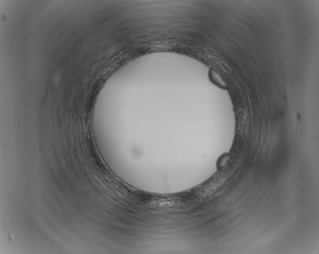 X0000068830655200605050919