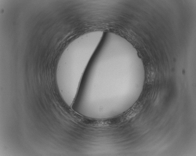 X0000068830656200605050919