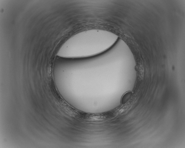 X0000068830657200605050919