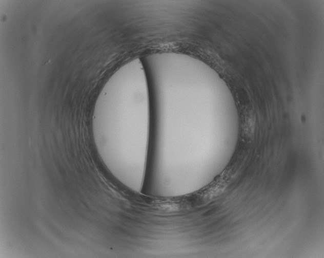 X0000068830658200605050919