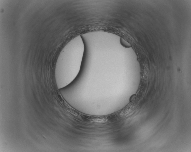 X0000068830659200605050919