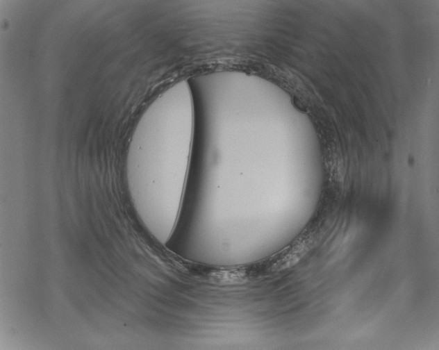 X0000068830660200605050919