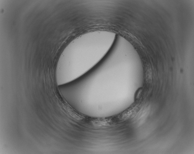 X0000068830661200605050919