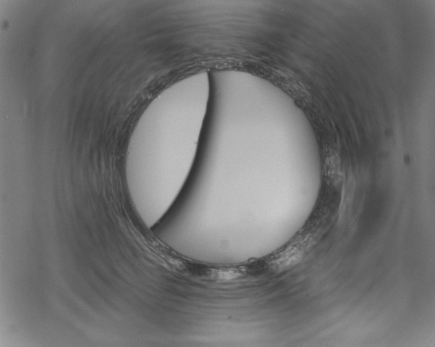 X0000068830662200605050919