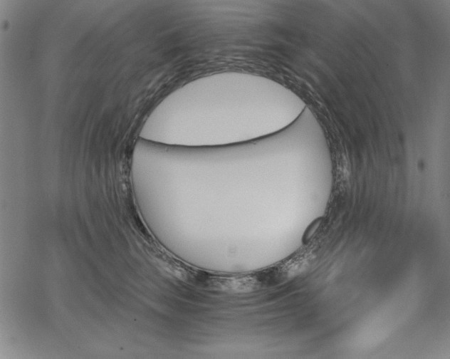 X0000068830663200605050919