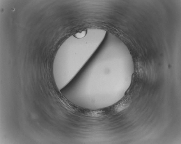 X0000068830664200605050919