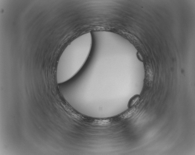 X0000068830665200605050919