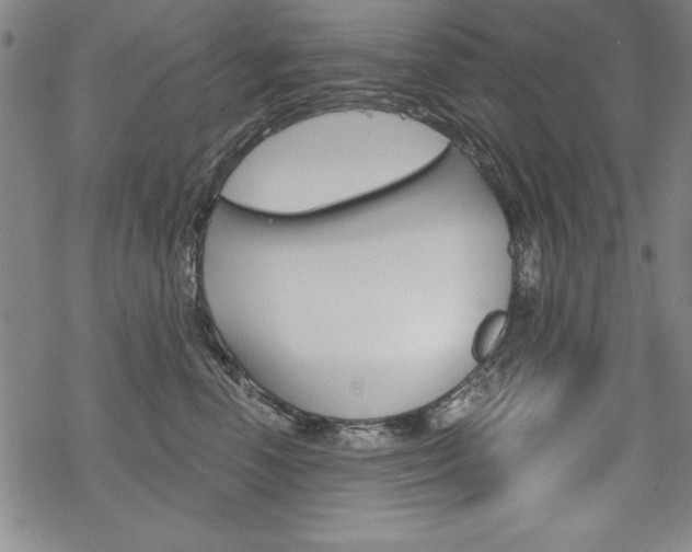 X0000068830666200605050919