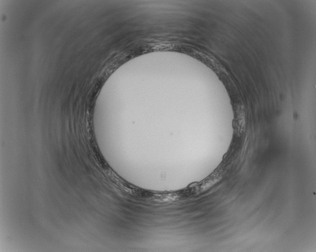 X0000068830667200605050919