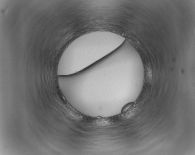 X0000068830668200605050919