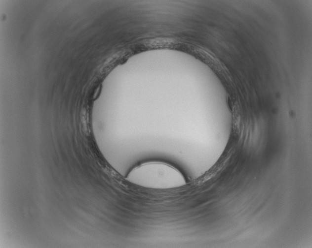 X0000068830669200605050920