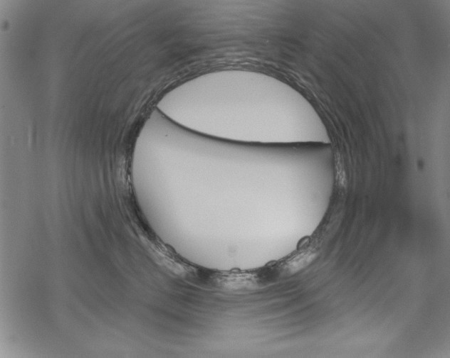 X0000068830670200605050920