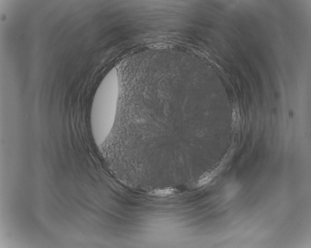 X0000068830671200605050920