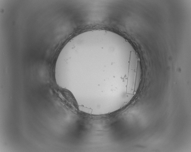 X0000068830672200605050920