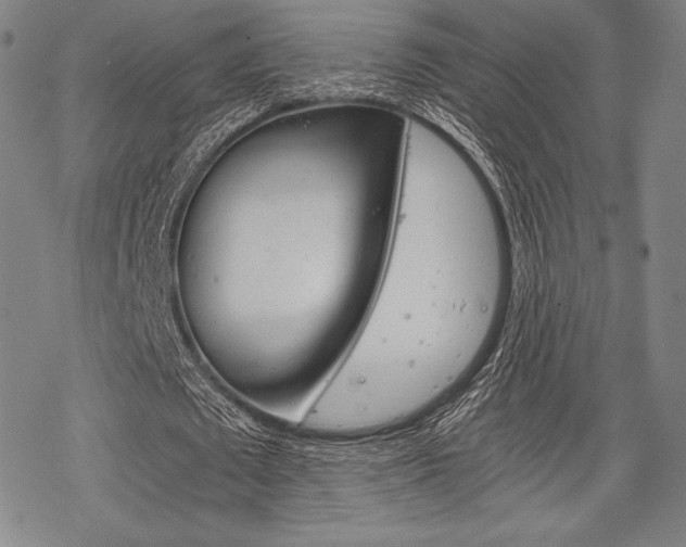 X0000068830673200605050919