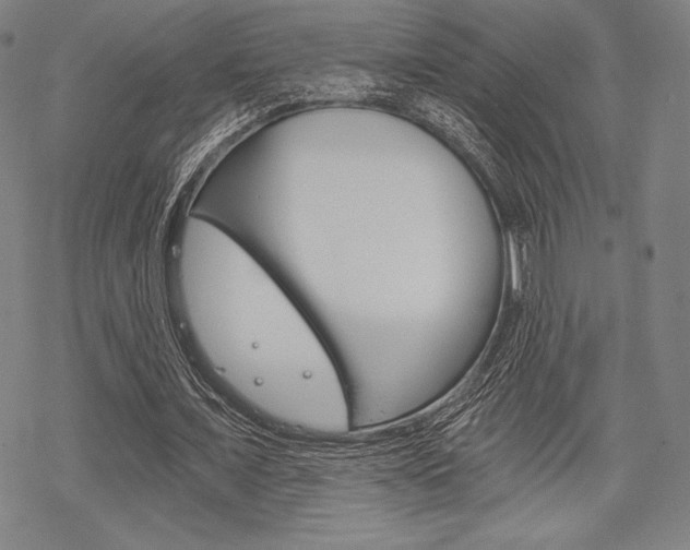 X0000068830675200605050919